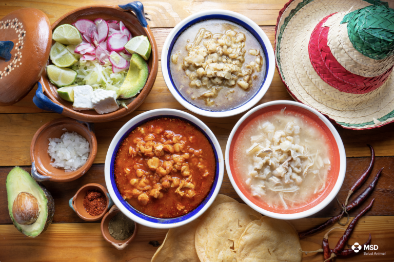 En México existen más de 10 tipos de pozole, donde el ingrediente principal es ¡la carne de cerdo!