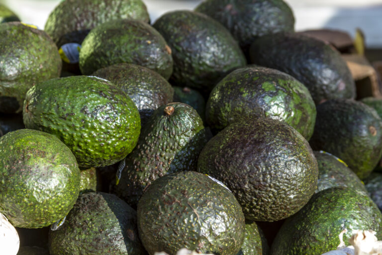 Los aguacates de México conquistan Estados Unidos con un gran año de exportación