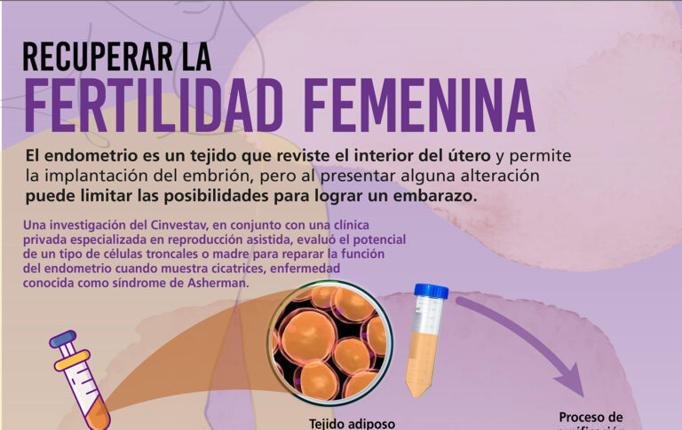 Proponen terapia celular para atender problemas de fertilidad femenina