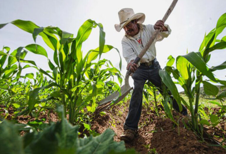 Consumo consciente de alimentos reduciría el impacto al planeta