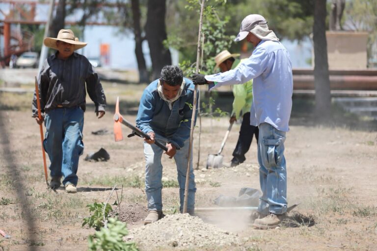 Cumple meta Gobierno de Saltillo en programa de Reforestación