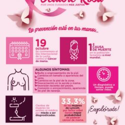 Infografía Octubre Rosa