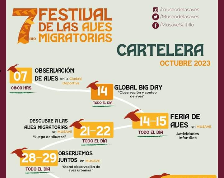 Inicia este sábado el Séptimo Festival de las Aves Migratorias del Museo de las Aves