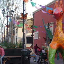 Paseo Capital y otros lugares del Centro Histórico se visten de color y tradición con Festival Ánimas del Desierto10