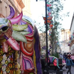 Paseo Capital y otros lugares del Centro Histórico se visten de color y tradición con Festival Ánimas del Desierto8