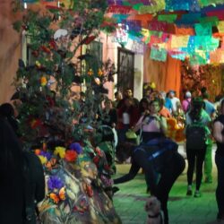 Paseo Capital y otros lugares del Centro Histórico se visten de color y tradición con Festival Ánimas del Desierto9