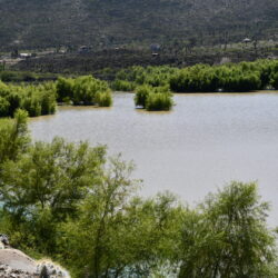 Presa Palo Blanco recupera nivel de agua; Reporta Protección Civil un 75%3