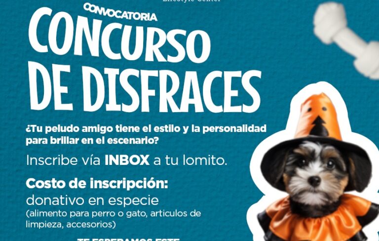 Realizarán en Paseo Villalta concurso de disfraces de mascotas a beneficio de animales rescatados de las calles