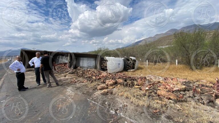 Vuelca tráiler y riega toneladas de cadáveres… de animales