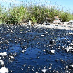 Arrojan aceite de motor en baldíos frente a Parajes de los Pinos; Autoridades en busca de responsables 