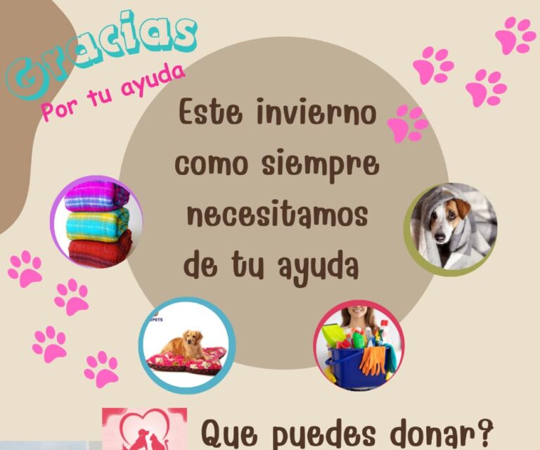 En Saltillo, abren colecta de cobijas y camas para mascota a beneficio de perros y gatos rescatados