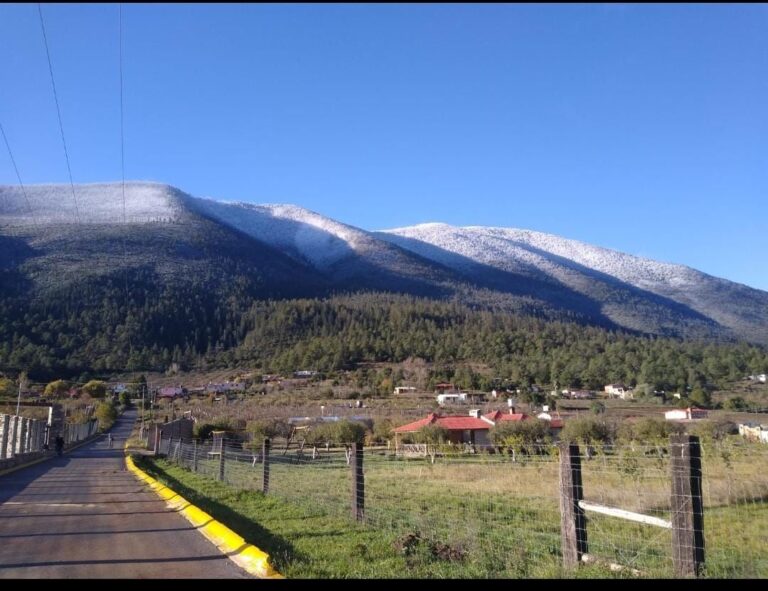 Alerta Protección Civil por presencia de aguanieve en Sierra de Arteaga