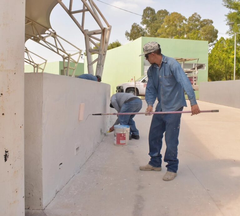 Brindan mantenimiento permanente a los bosques de Torreón