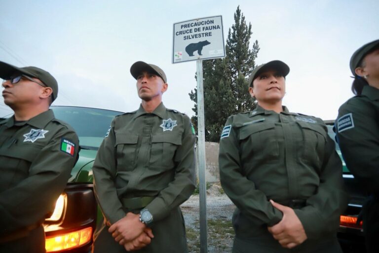 Coloca Policía Ambiental de Saltillo señalamientos para preservar osos