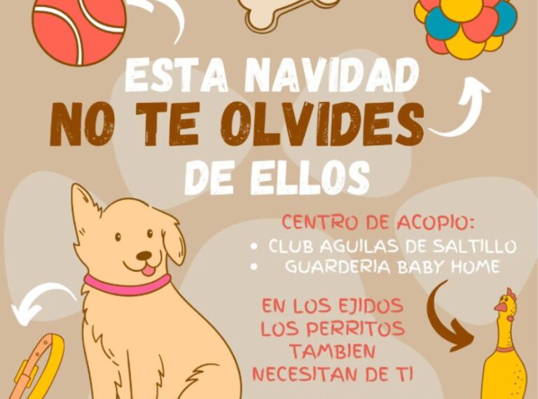 En Saltillo, invitan a colecta en favor de perros en situación de calle 