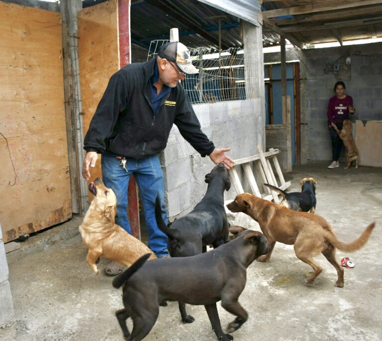 En refugio “Compita Moy” de Ramos Arizpe solicitan donación de alimento para mascotas rescatadas 