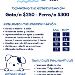 Este domingo invitan a participar en el vacunatón en favor de las mascotas
