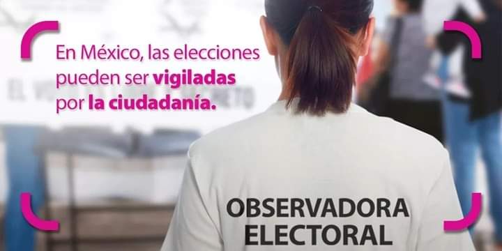 Evitan observadores electorales estados delictivos