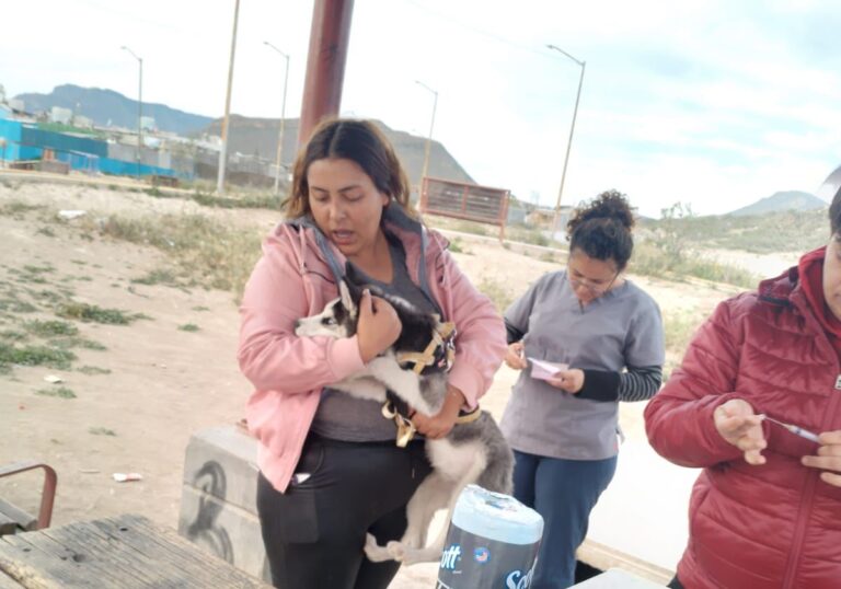 Nueva brigada de vacunación antirrábica en Ramos Arizpe esta semana