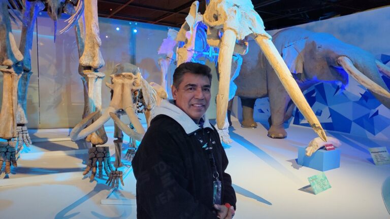 Regresa la Edad de Hielo con exposición el Museo del Desierto