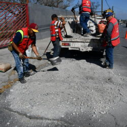 Reparación de hundimientos en el pavimento son atendidos en la colonia Jardín de Ramos Arizpe