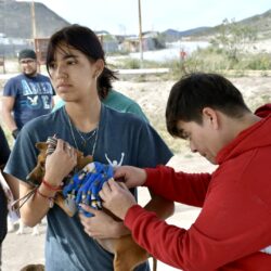 Responden dueños de mascotas a jornada de atención animal en Urbivilla