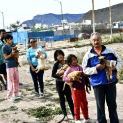 Responden dueños de mascotas a jornada de atención animal en Urbivilla5