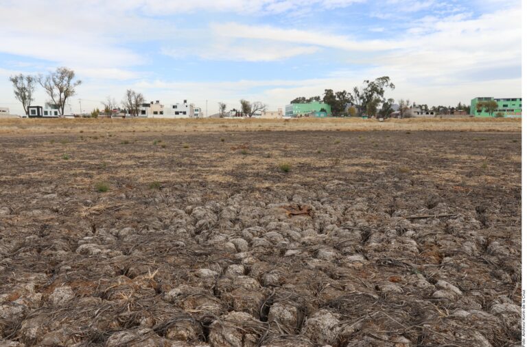 Se agrava sequía en el país; en riesgo producción de alimentos