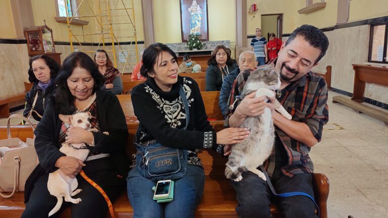 Bendicen en Parroquia de San Esteban a mascotas de saltillenses