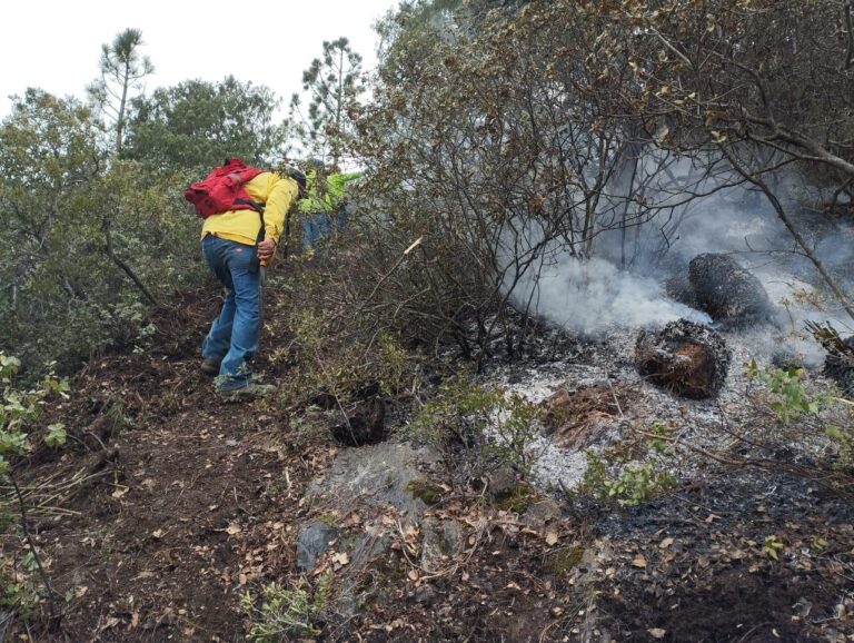 Brigadistas liquidan incendio en la Sierra de Zapalinamé