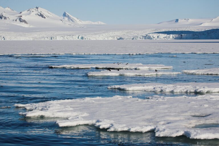 Científicos advierten sobre virus que podrían ser liberados a causa del descongelamiento del hielo Ártico