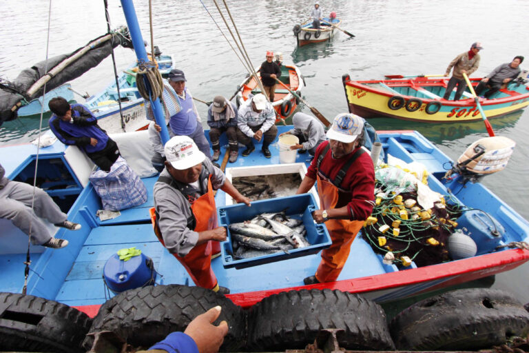 Combatir la pesca irregular en México requiere consumidores más informados