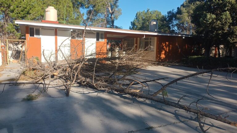 Suspenden clases en la Secundaria 6 de Saltillo por caída de árboles y otros daños a causa del viento