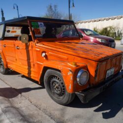 Cientos disfrutan “Expo de Autos Safari” en Dinolandia8