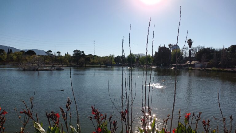 Es el lago de la Ciudad Deportiva de los humedales con mayor riqueza en biodiversidad de la Región Sureste