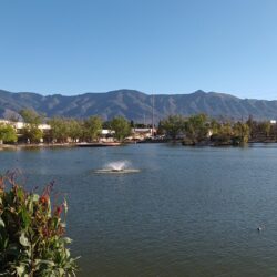 Es el lago de la Ciudad Deportiva de los humedales con mayor riqueza en biodiversidad de la Región Sureste1