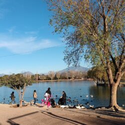 Es el lago de la Ciudad Deportiva de los humedales con mayor riqueza en biodiversidad de la Región Sureste2