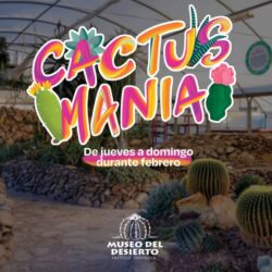 Llega a su 20 aniversario la promoción “Cactusmanía” del Museo del Desierto2