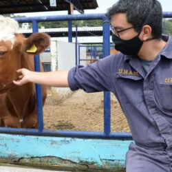 Médicos veterinarios, clave para promover la salud pública1