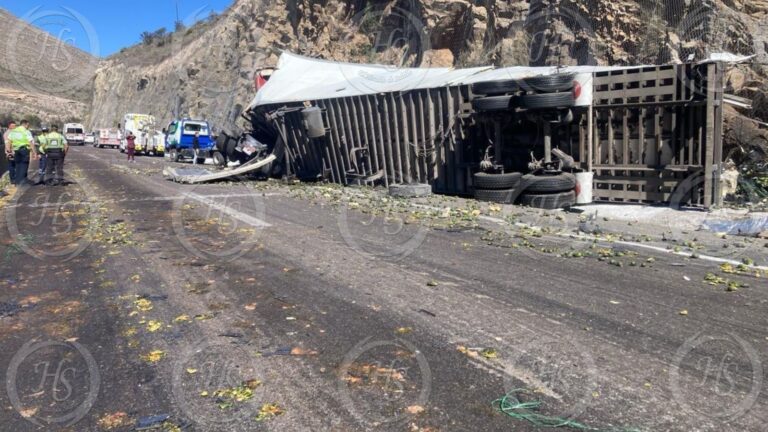 Vuelca camión cargado con toneladas de aguacate en Los Chorros