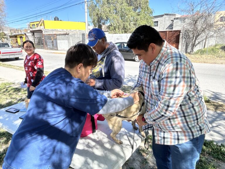 En colonia La Ciénega vacunan contra la rabia y desparasitan a más de 150 mascotas