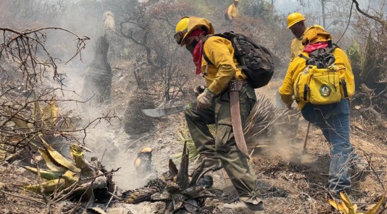 Arrancarán este jueves acciones de prevención de incendios forestales en Coahuila