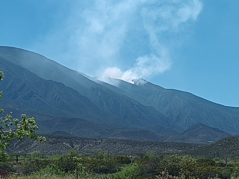 Van en Coahuila seis incendios forestales en lo que va del año