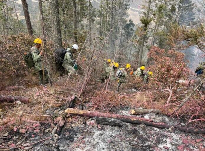 Aplicarán multas de 100 mil a pirómanos en la sierra