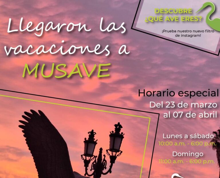 Con actividades para toda la familia, invitan a aprovechar vacaciones de primavera en el MUSAVE