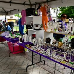 Con el ‘Mercado Morado’ expositoras ofrecen sus productos a los ramosarizpenses8