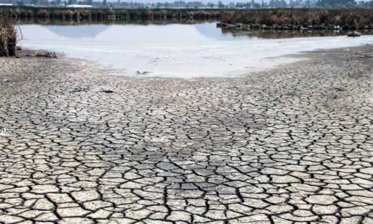 Derecho y políticas públicas, claves para atender la problemática del agua