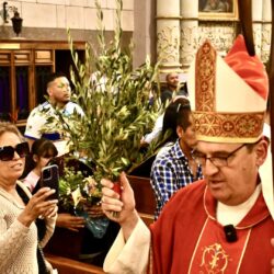 Encabeza obispo Hilario González Domingo de Ramos en Catedral de Santiago1