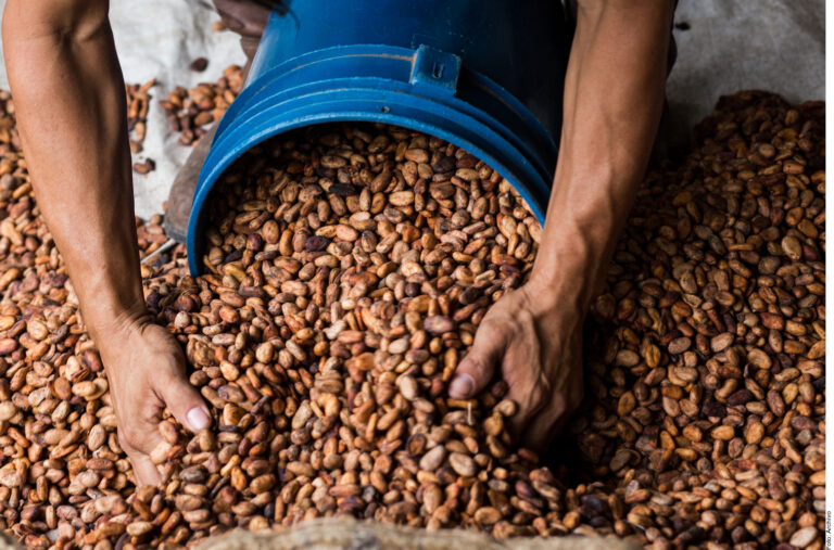 Encarece el cacao al chocolate