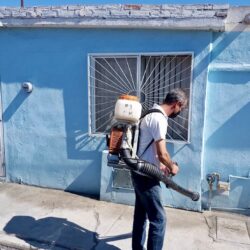 Fumigan contra la rickettsia en Ramos Arizpe; previenen enfermedades por temporada de calor 